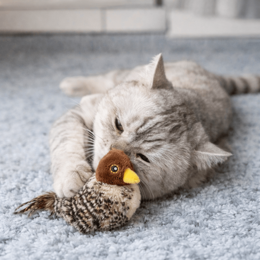 Gato interagindo com o brinquedo